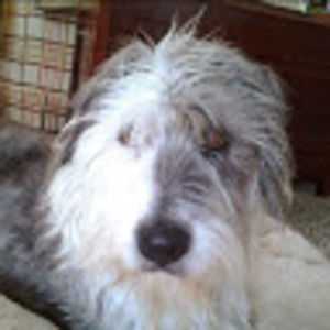 Meet your Posher, Maggie